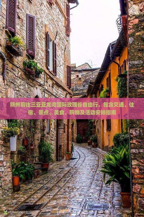 朔州前往三亚亚龙湾国际玫瑰谷自由行