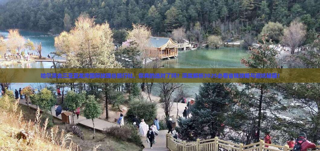 哈尔滨去三亚亚龙湾国际玫瑰谷旅行社
