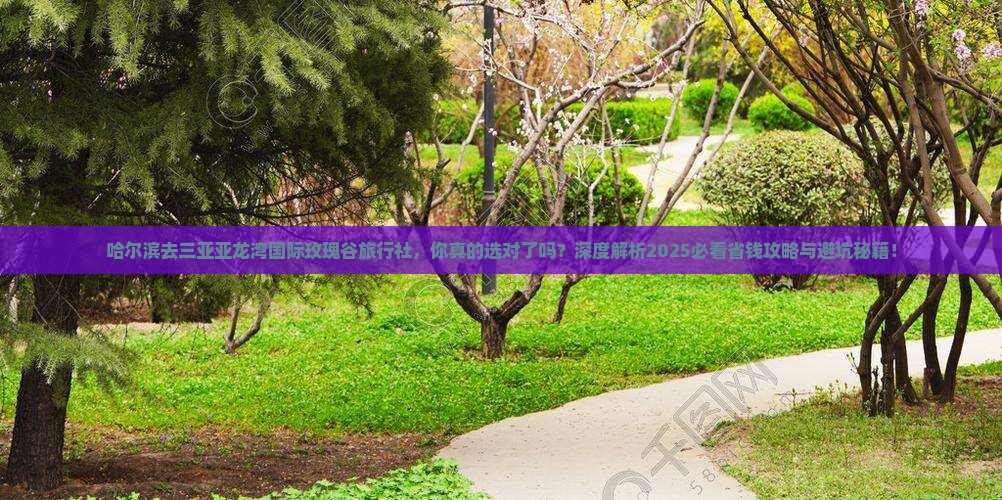 哈尔滨去三亚亚龙湾国际玫瑰谷旅行社