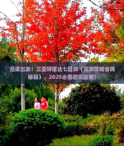 吕梁去三亚呀诺达景区七日游