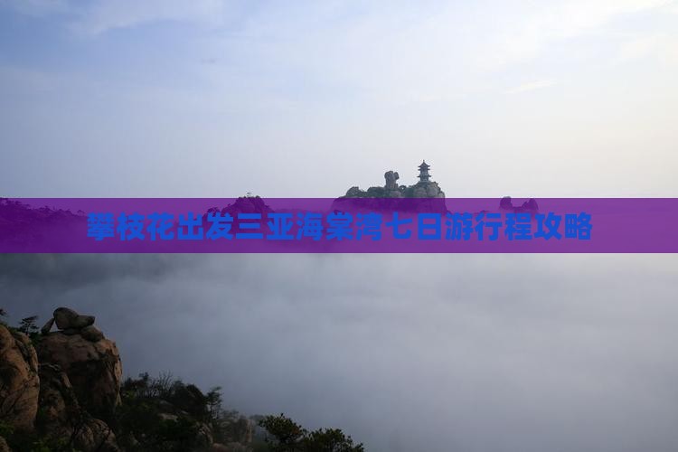 攀枝花出发三亚海棠湾七日游