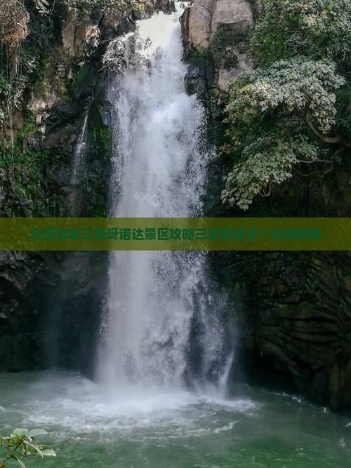 东营出发三亚呀诺达景区攻略