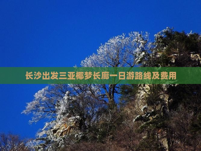 长沙出发三亚椰梦长廊一日游