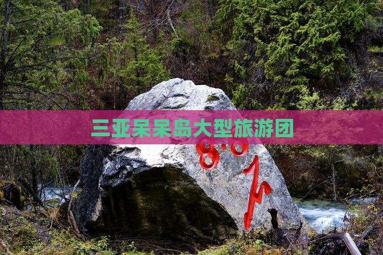 七台河去三亚呆呆岛大型旅游团