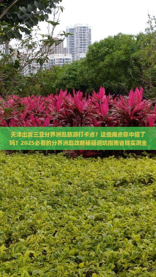 天津出发三亚分界洲岛旅游打卡点