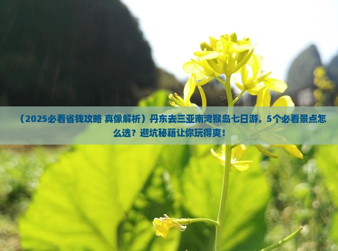丹东去三亚南湾猴岛七日游