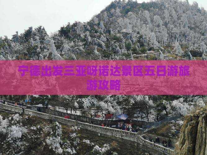 宁德出发三亚呀诺达景区五日游