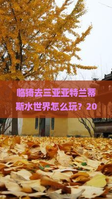 临猗前往三亚亚特兰蒂斯水世界旅游打卡点