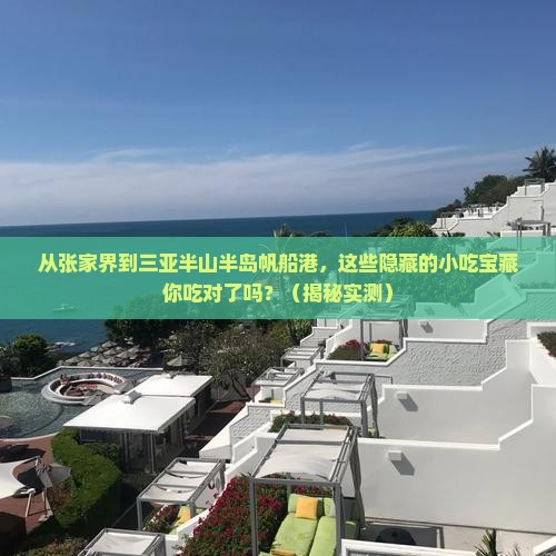 张家界前往三亚半山半岛帆船港旅游小吃