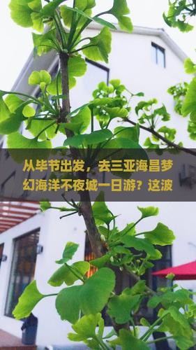 毕节出发三亚海昌梦幻海洋不夜城一日游
