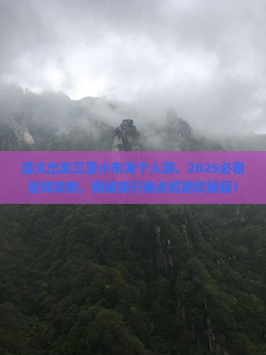 遵义出发三亚小东海个人游