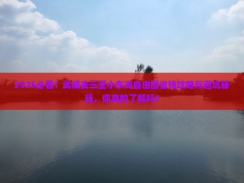 武威去三亚小东海自由团