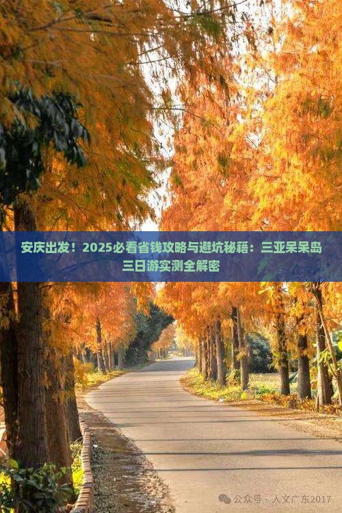 安庆去三亚呆呆岛三日游