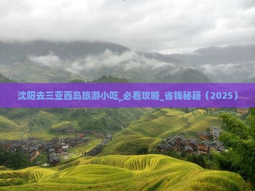 沈阳去三亚西岛旅游小吃