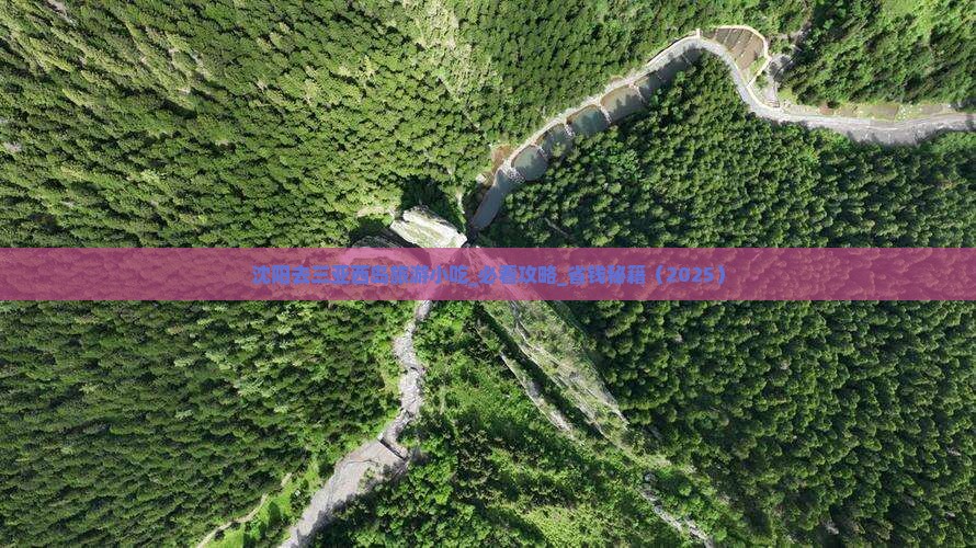 沈阳去三亚西岛旅游小吃