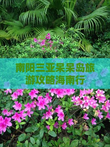 南阳去三亚呆呆岛旅游