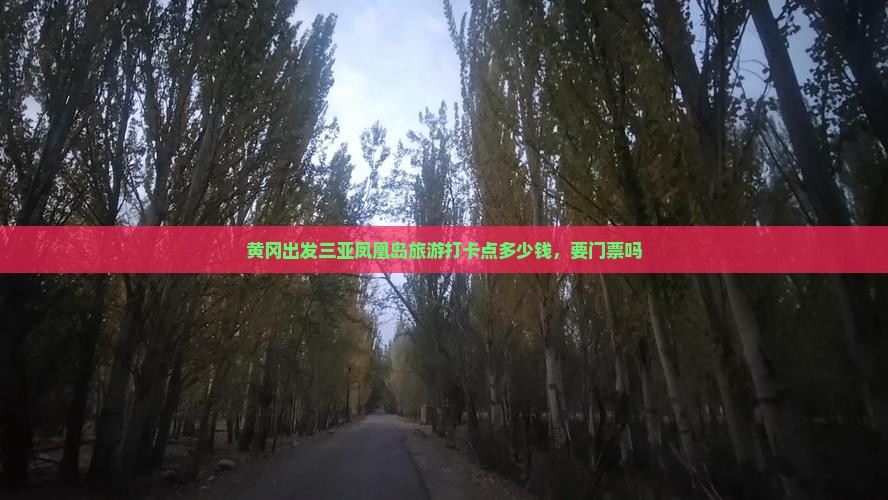 黄冈出发三亚凤凰岛旅游打卡点