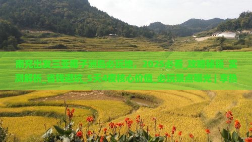 南充出发三亚椰子洲岛必玩地
