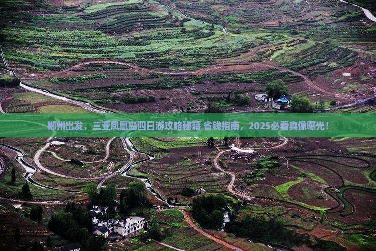 郴州前往三亚凤凰岛四日游