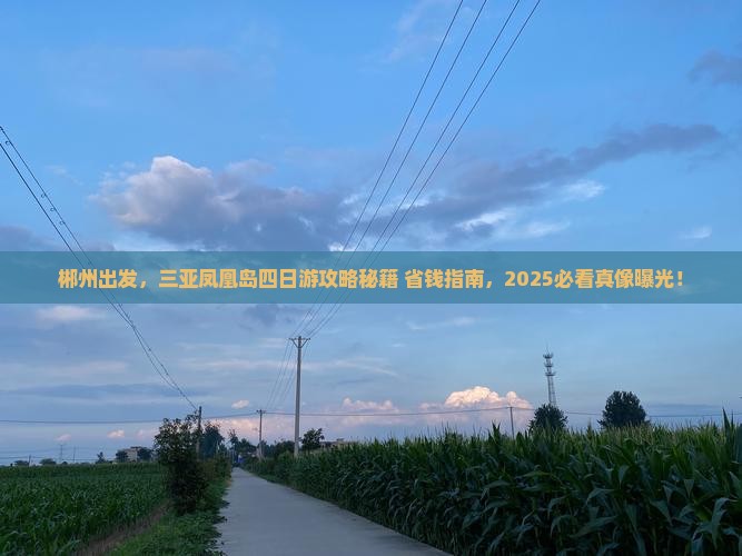 郴州前往三亚凤凰岛四日游