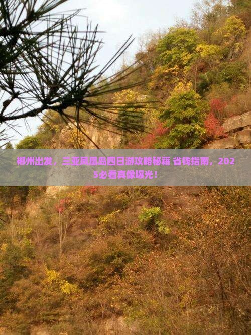 郴州前往三亚凤凰岛四日游