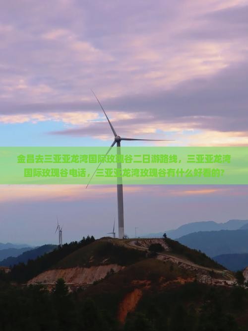 金昌去三亚亚龙湾国际玫瑰谷二日游