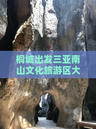 桐城出发三亚南山文化旅游区大型旅游团