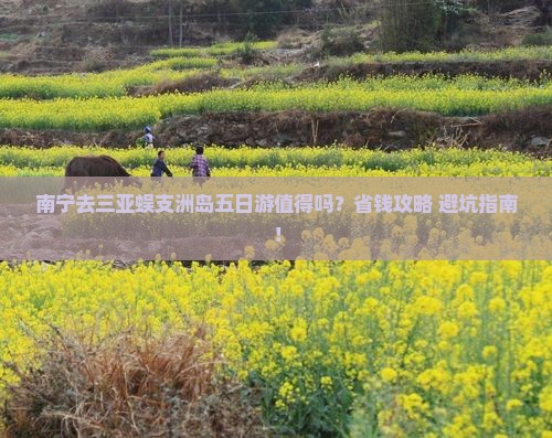 南宁去三亚蜈支洲岛五日游