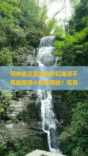 鄂州前往三亚海昌梦幻海洋不夜城旅游小吃