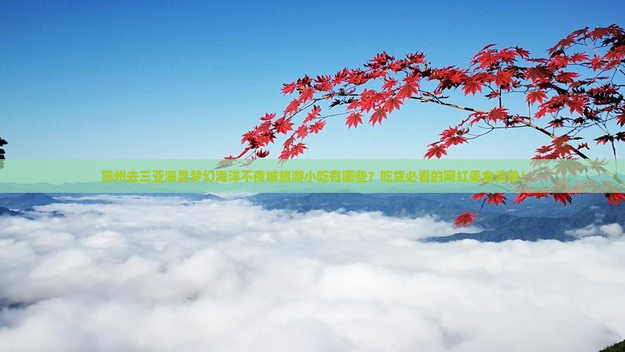 鄂州前往三亚海昌梦幻海洋不夜城旅游小吃