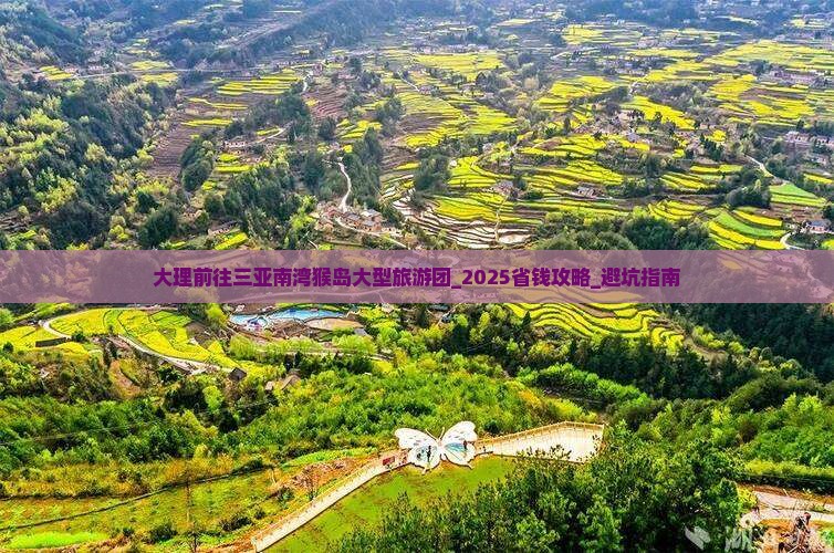 大理前往三亚南湾猴岛大型旅游团