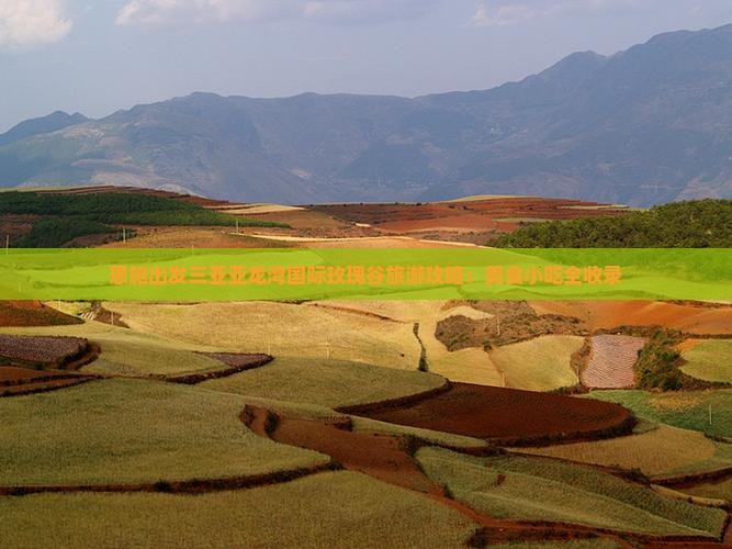 恩施出发三亚亚龙湾国际玫瑰谷旅游小吃