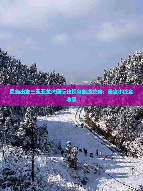 恩施出发三亚亚龙湾国际玫瑰谷旅游小吃