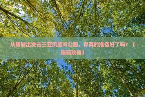 塔城出发三亚凤凰岭公园个人游