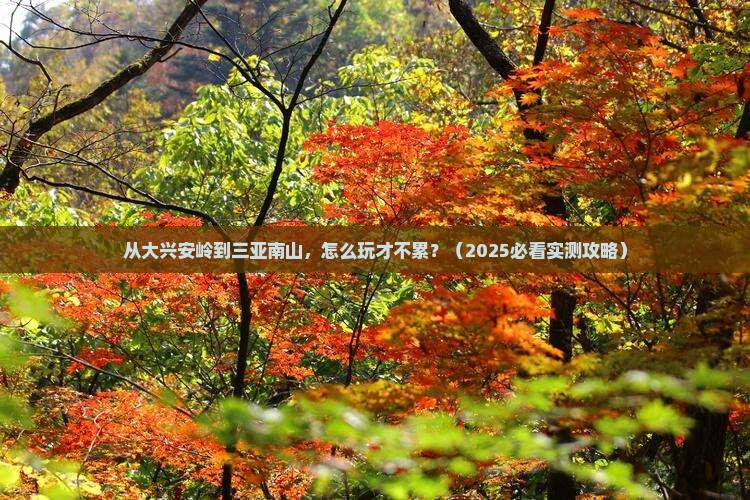 大兴安岭出发三亚南山文化旅游区哪里玩