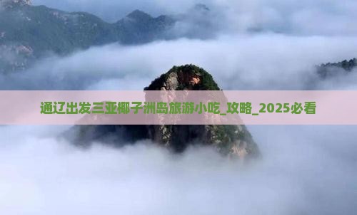 通辽出发三亚椰子洲岛旅游小吃
