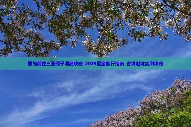 恩施前往三亚椰子洲岛攻略