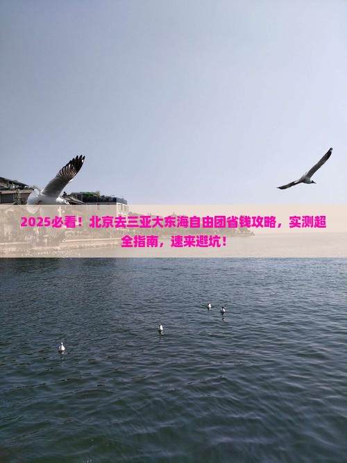 北京去三亚大东海自由团