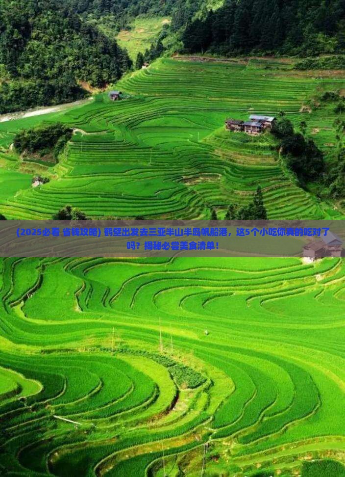 鹤壁前往三亚半山半岛帆船港旅游小吃