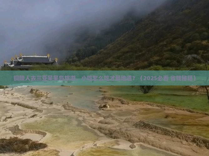 铜陵出发三亚呆呆岛旅游小吃