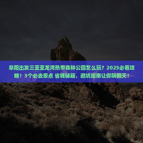 阜阳出发三亚亚龙湾热带森林公园哪里玩
