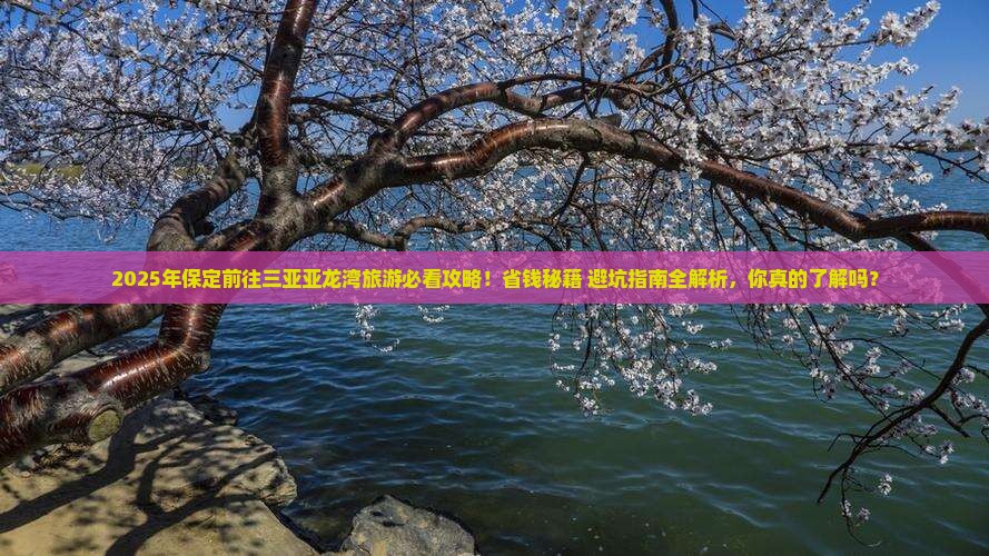 保定前往三亚亚龙湾旅游