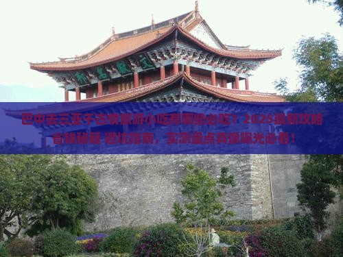 巴中去三亚千古情旅游小吃