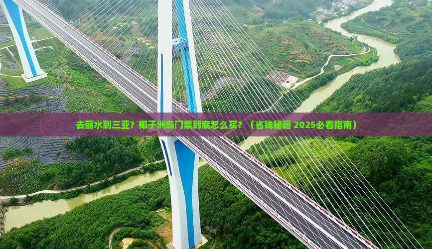 丽水去三亚椰子洲岛门票
