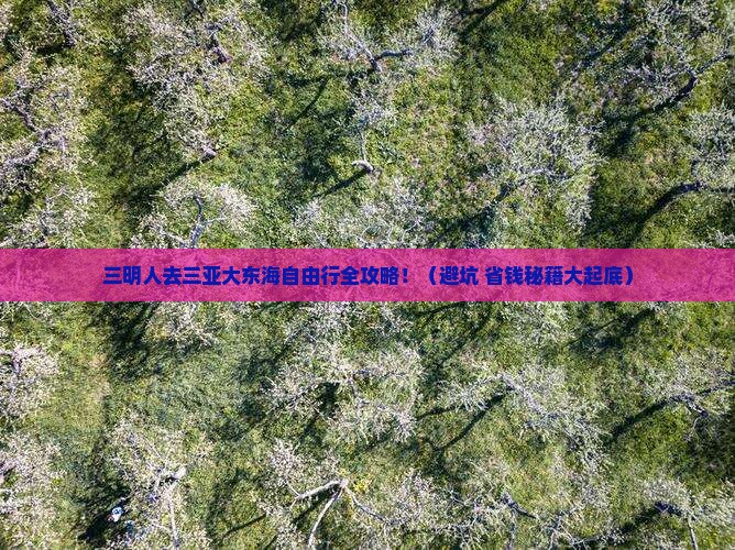 三明去三亚大东海自由团