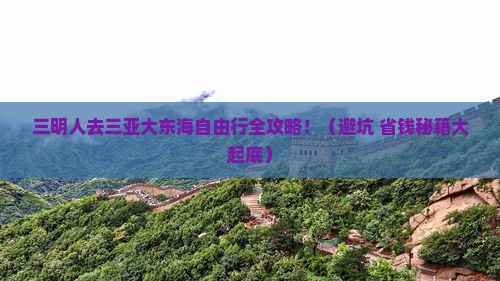 三明去三亚大东海自由团