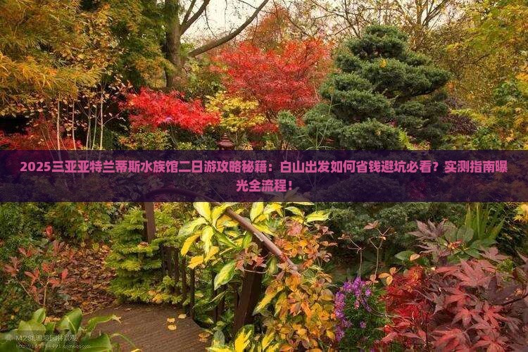 白山出发三亚亚特兰蒂斯水族馆二日游