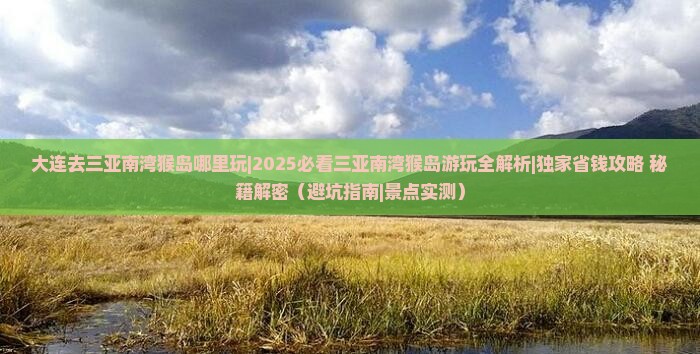 大连去三亚南湾猴岛哪里玩