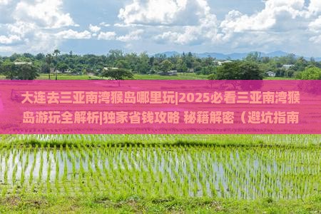 大连去三亚南湾猴岛哪里玩