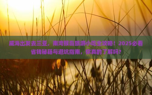 威海出发三亚南湾猴岛旅游小吃